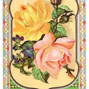 Fes Etiketi, B-5e, Sarı,pembe gül, MCz, ince yazı, Kondisyon 10-10, 109x235mm, Gerçek = Orijinal
