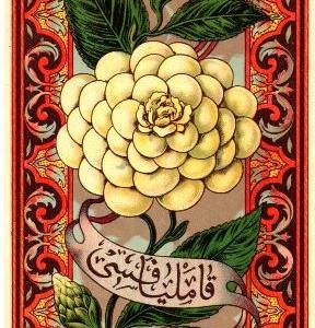 Fes Etiketi, B-1d, Kasımpatı, koyu sarı, Ar., Kondisyon 9,5-10, 102x255mm, Gerçek = Orijinal